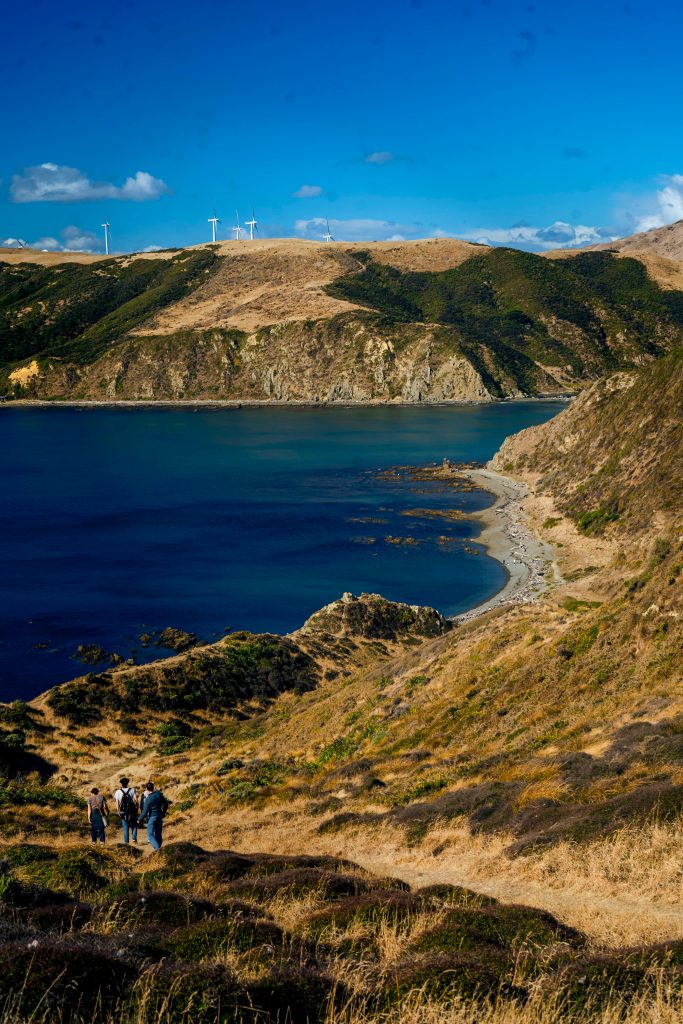 NZ Country