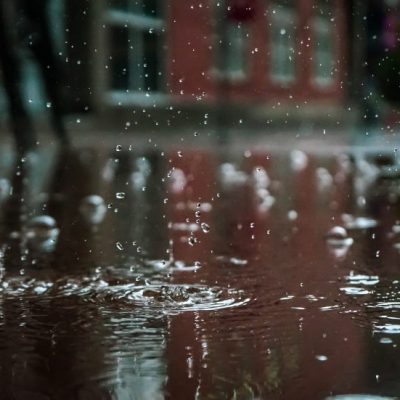 Rain drops in motion