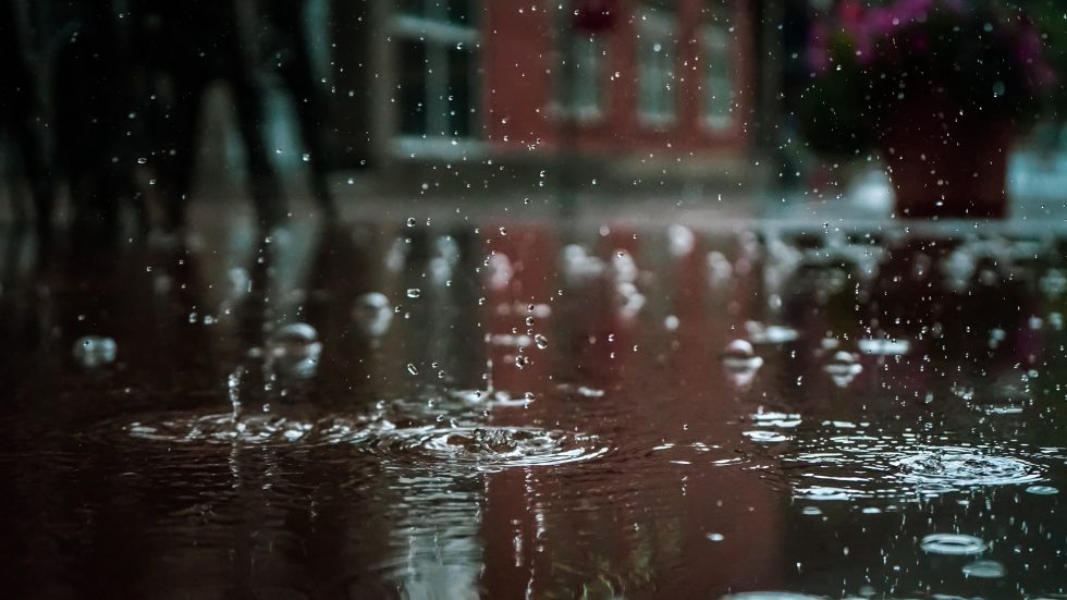 Rain drops in motion