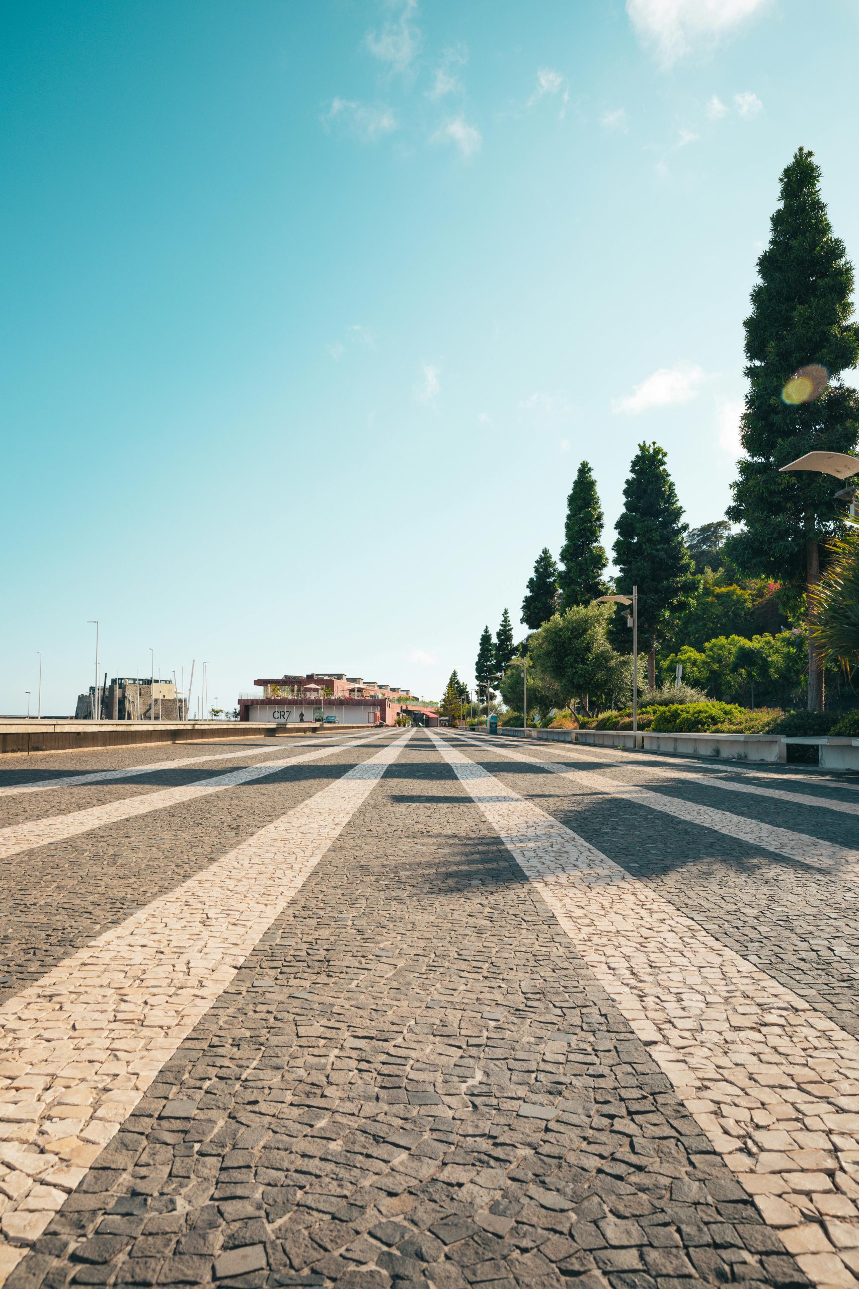 Lined Road